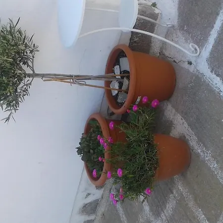 Angela's Guest house